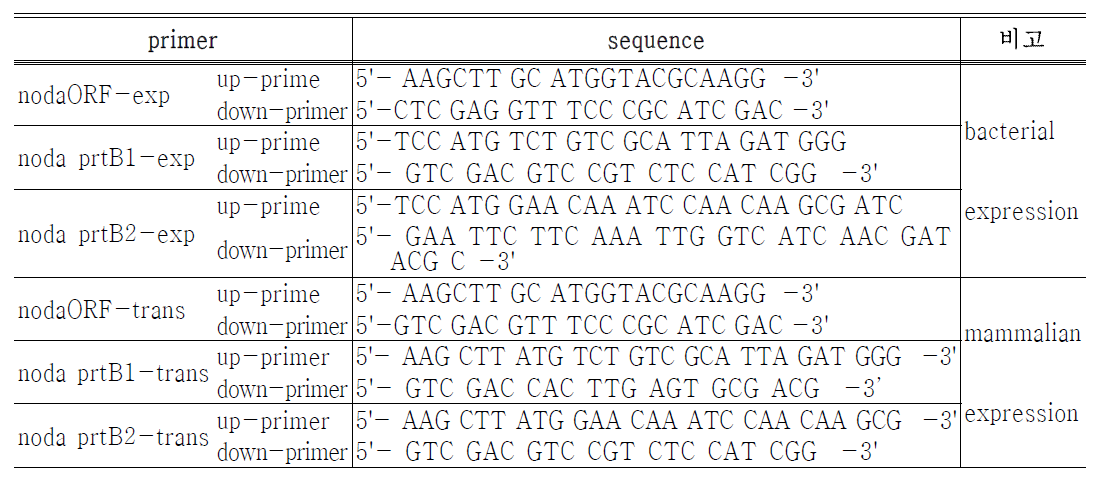 어류 노다바이러스 유전자 발현에 이용한 프라이머 set