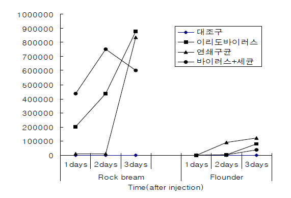 넙치와 돌돔에서 인터페론유전자의 발현율 비교.
