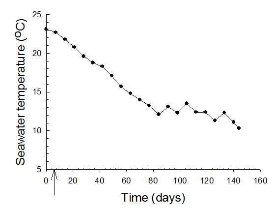 연구기간 동안의 해수 수온의 변동 (→ : 백신접종 ; 2007.9.26 ~ 2008.2.19)