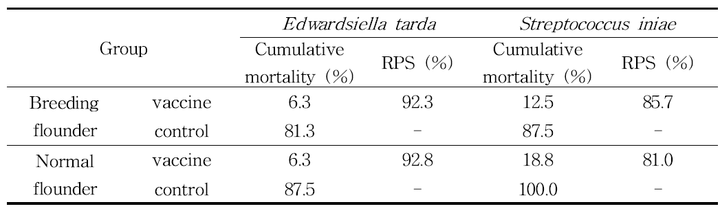 혼합백신 투여 넙치의 Edwardsiella tarda와 Streptococcus iniae 인위 복강감염에 의한 누적폐사율(%)와 상대생존율
