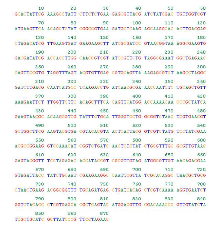 870 bp 크기의 Vibrio campbelii KCCM 41986 rnase polymerase subunit B (rpoB)의 염기서열