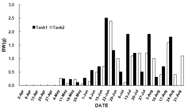 Tank 1과 2의 흰다리새우의 주간성장율 비교.