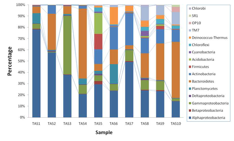 기간에 따른 biofloc 사육수의 pyrosequencing 결과-Phylum level에서의 세균의 다양성 (비율).