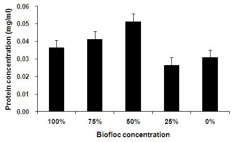 Biofloc농도별 사육된 흰다리새우 hemocyte의 단백질 농도의 변화.