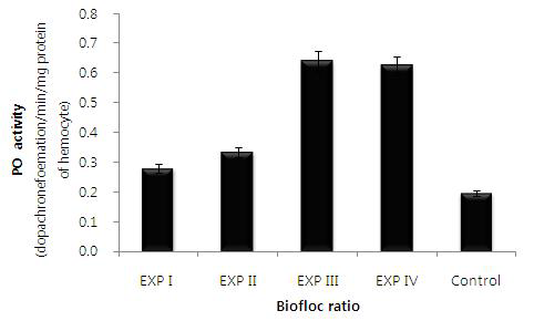 Biofloc 농도에 따른 새우 사육시 hemocyte의 페놀옥시다제(PO) 활성도.