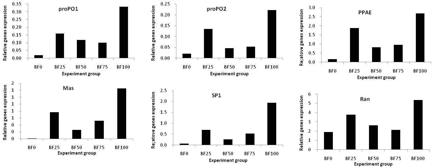 흰다리새우 유생(postlarva)의 6개 면역관련 유전자의 mRNA expression 상대적 비교.