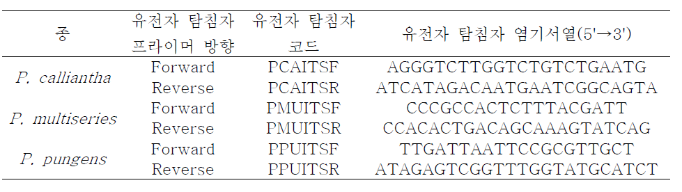 유독 Pseudo-nitzschia 종의(P. calliantha, P. multiseries, P. pungens) 신속검출을 위한 SYBR Green real-time PCR 시스템의 유전자 탐침자 염기서열