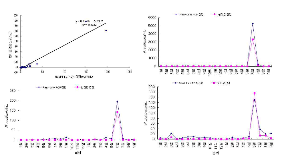 Real-time PCR 유전자 탐침자를 이용한 자연해수 내 유독 Pseudo-nitzschia 종의 정량검출 결과와 전자현미경을 이용한 검경법 결과의 비교.