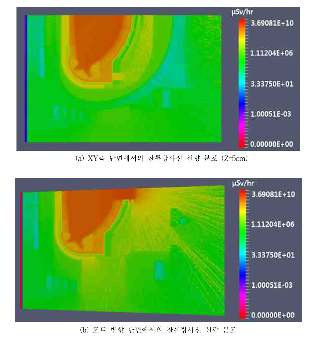 30년 운영 직후 방사화된 Global model에 대한 2D 잔류방사선 선량 분포