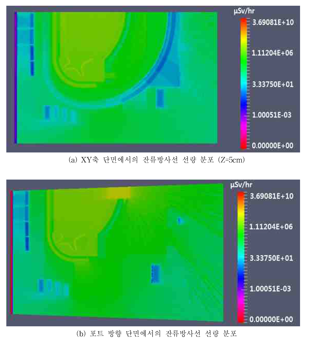 30년 운영 후 5년의 정지 기간 이후에 방사화된 Global model에 대한 2D 잔류방사선 선량 분포