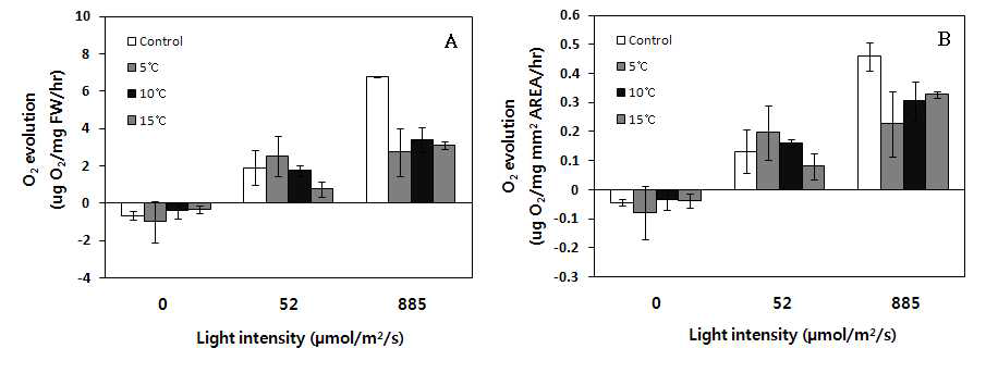 강진의 양식 김의 각각 다른 온도에 대한 광의존성 산소 발생률. (A) 생체량당 산소 발생률. (B) 면적당 산소 발생률
