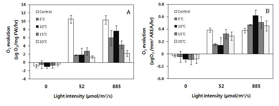 소안도의 양식 김의 각각 다른 온도에 대한 광의존성 산소 발생률. (A) 생체량당 산소 발생률. (B) 면적당 산소 발생률