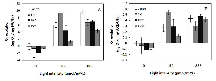 해남의 양식 김의 각각 다른 온도에 대한 광의존성 산소 발생률. (A) 생체량당 산소 발생률. (B) 면적당 산소 발생률
