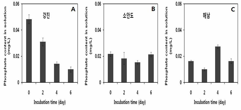 강진 (A), 소안도 (B) 및 해남 (C)으로부터 채집한 양식 김의 in vitro 생체량 인산 (P) 흡수 비교