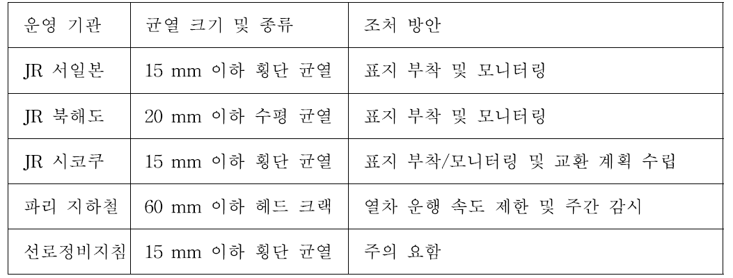 해외의 레일 결함 관리 기준