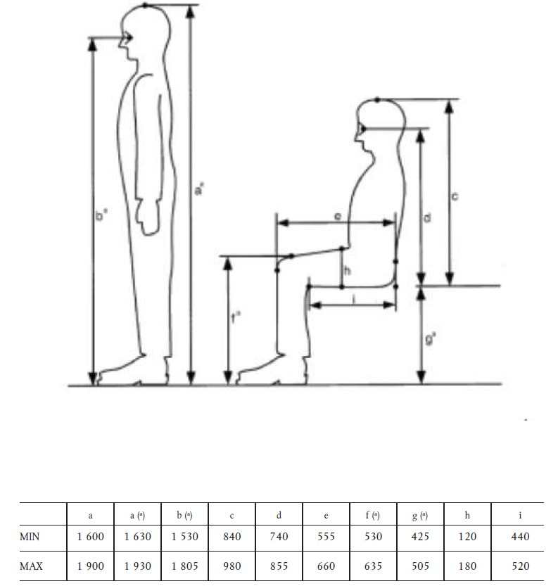 TSI, 가장 작은 운행 기관사와 가장 큰 운행 기관사의 기초적인 인체계측학적 측정