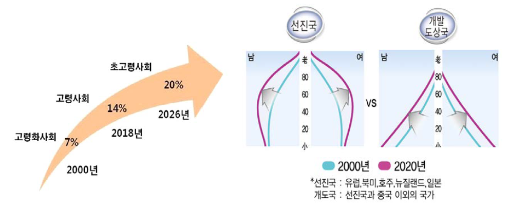 선진국과 개도국의 인구구조 비교