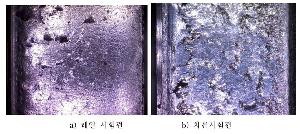 UIC Rail 시험편 (1300 MPa, 50,000싸이클)