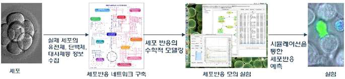 가상세포의 구축 및 활용