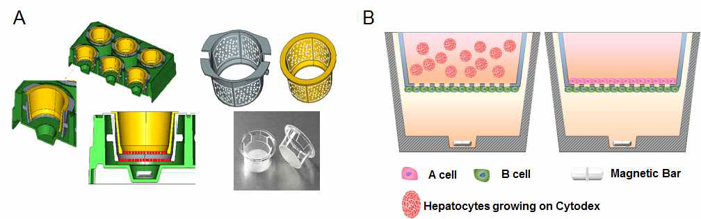 (A) 개발한 세포배양용기 모식도 (B) 이를 활용한 공배양 방법들에 대한 예시