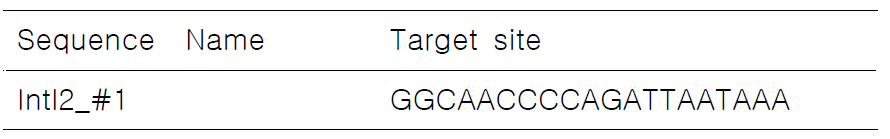 Intl2의 gRNA target site sequence