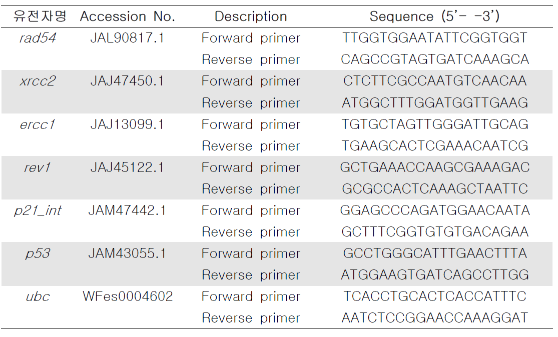 유전자 발현 분석에 사용된 각 유전자의 primer 서열 정보