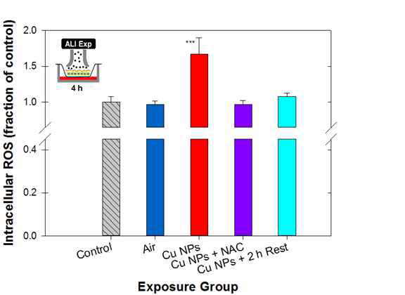 Intracellular ROS generation for control (incubator), air (particle-free), and Cu NP, Cu NP + NAC, and Cu NP + 2h rest exposure groups for A549 cells exposed for 4 hrs at the air-liquid interface (ALI) as evaluated by fluorescence detection with Carboxy-H2DCFDA.