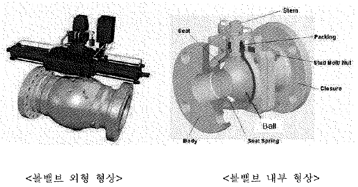 Ball Valve의 Seat와 Ball 부품