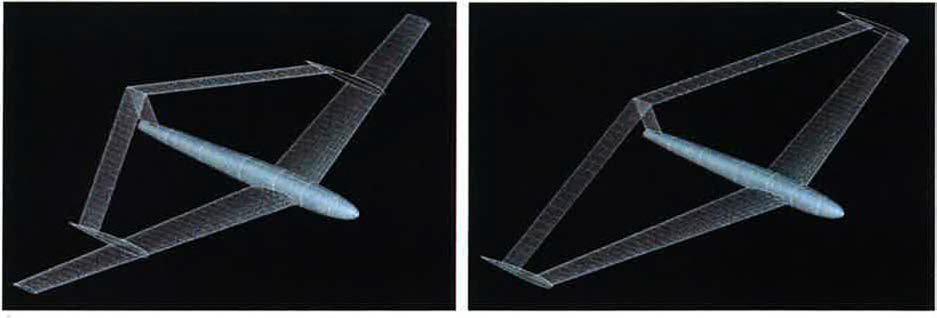 Wing Layout 1 (left) and Layout 2 (right)