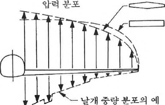 실제 날개에서의 외력 분포