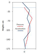 높이에 따른 정규화된 유체동압력의 분포와 가속도 분포 (수심 1550mm를 가지는 탱크 모델)