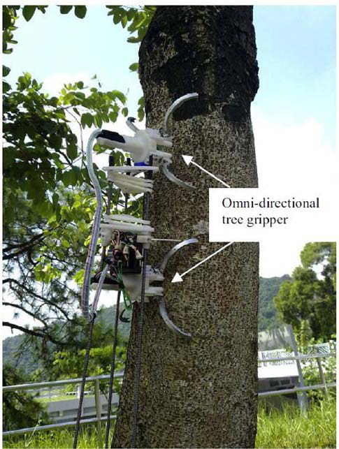 Tree Climbing Robot