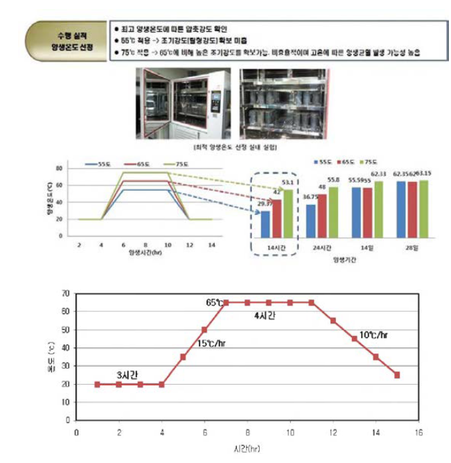 최적의 증기 양생 조건