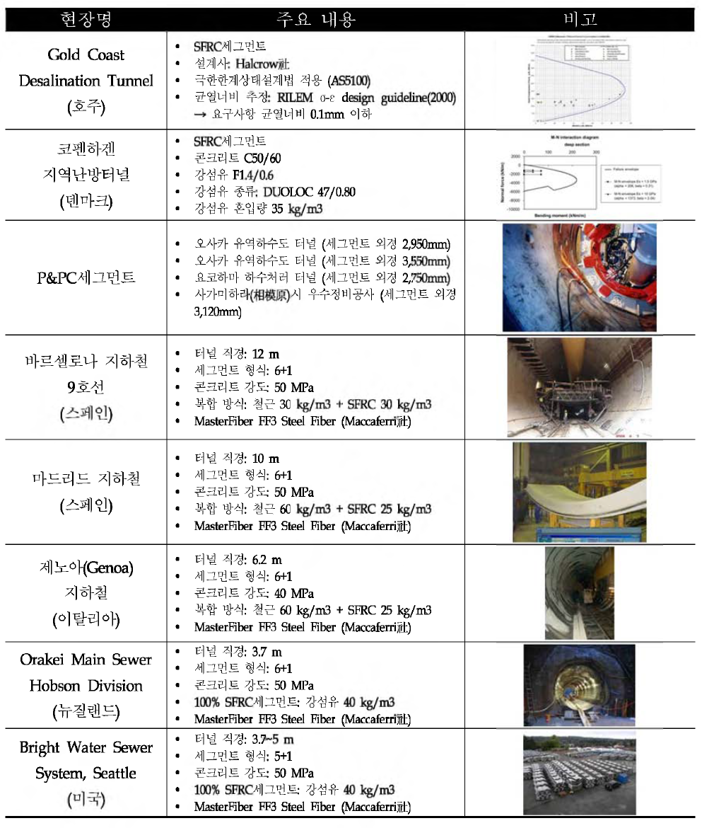 고성능 세그먼트 라이닝 해외 적용 사례