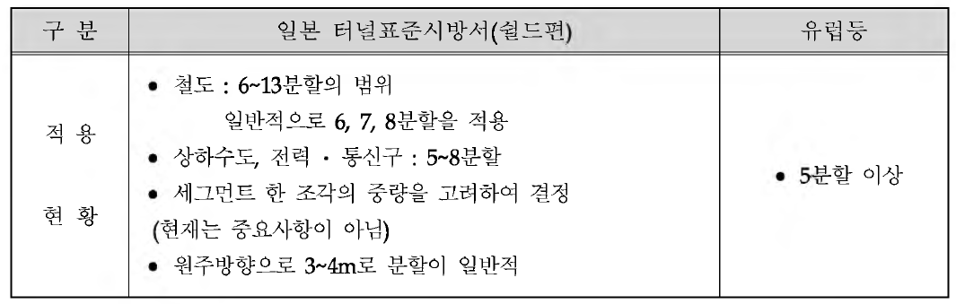 국외의 세그먼트 분할