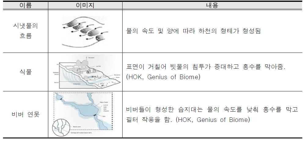 물을 조절하는 생물