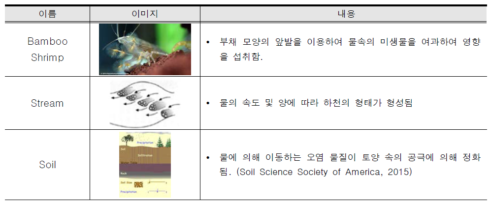 물을 여과하는 생물