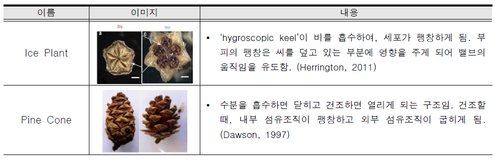 물에 의해 작동하는 생물