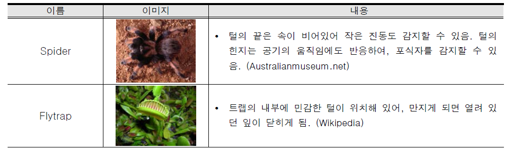 공기의 저항에 반응하는 생물 (감각능력)