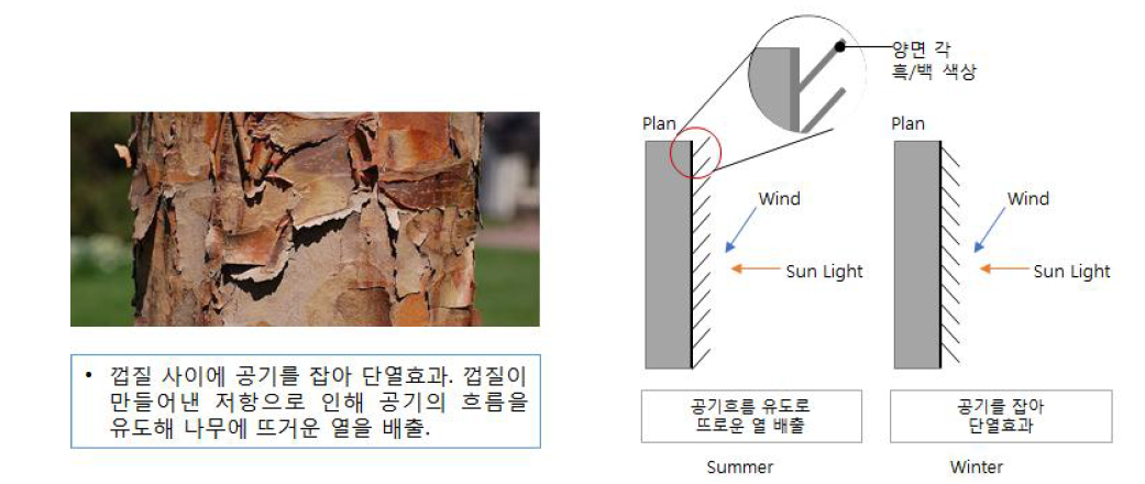 나무껍질로부터 얻은 아이디어