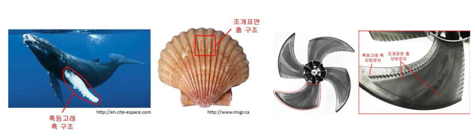 혹등고래-조개껍질 구조를 모방한 저소음·고효율 에어컨 팬 사례