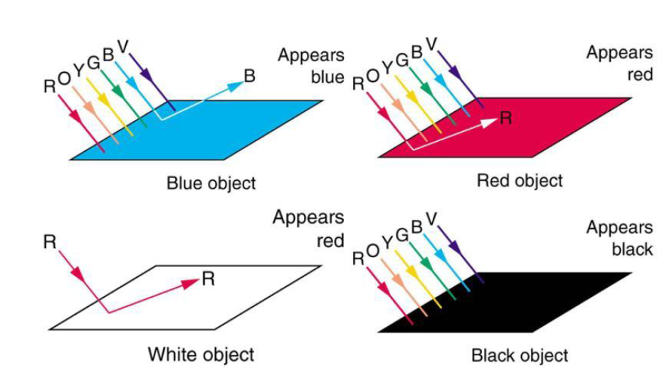 가시광선 반사에 따른 색채(출처: College physics)