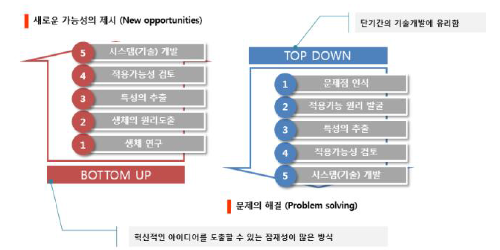 바이오미미크리 연구 프로세스