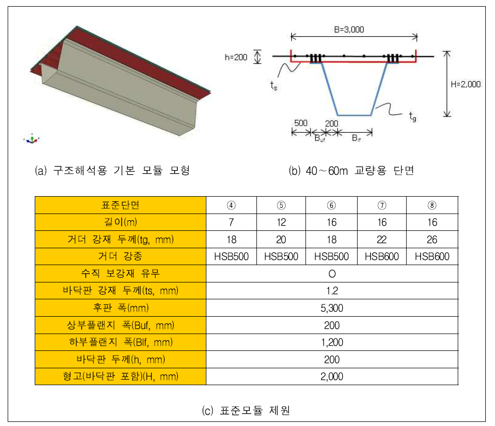 표준모듈 단면 및 제원 (40∼60m)