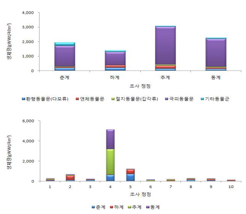 연성기질에서 출현한 대형저서동물의 조사 시기 및 정점에 따른 생체량.