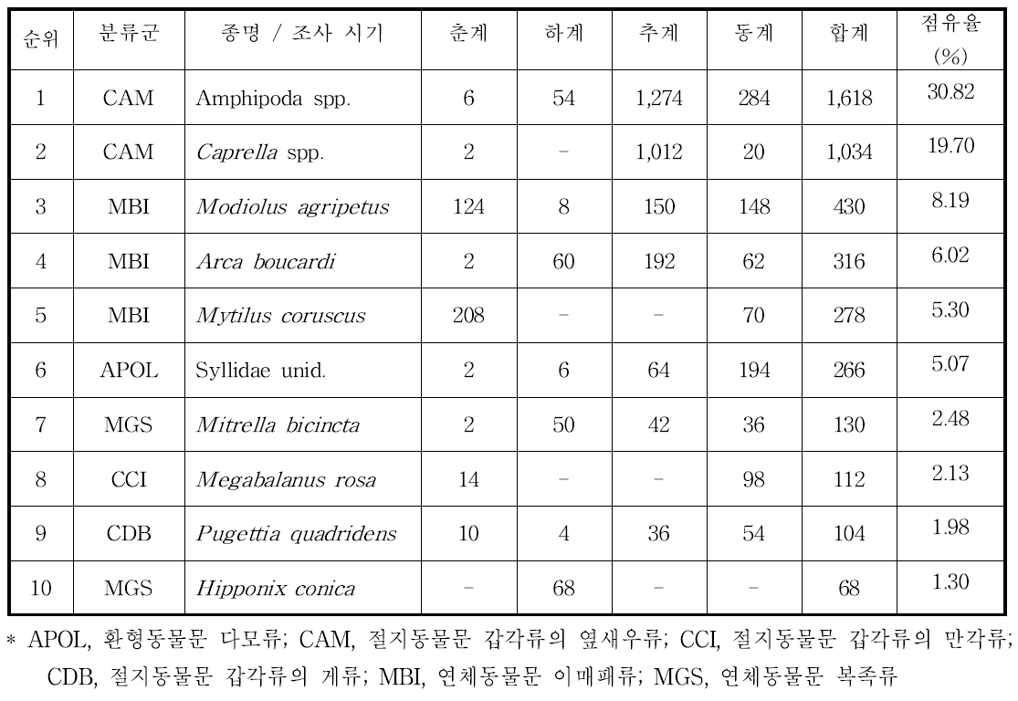 경성기질에서 출현한 대형저서동물의 개체수 기준 상위 10위 우점종