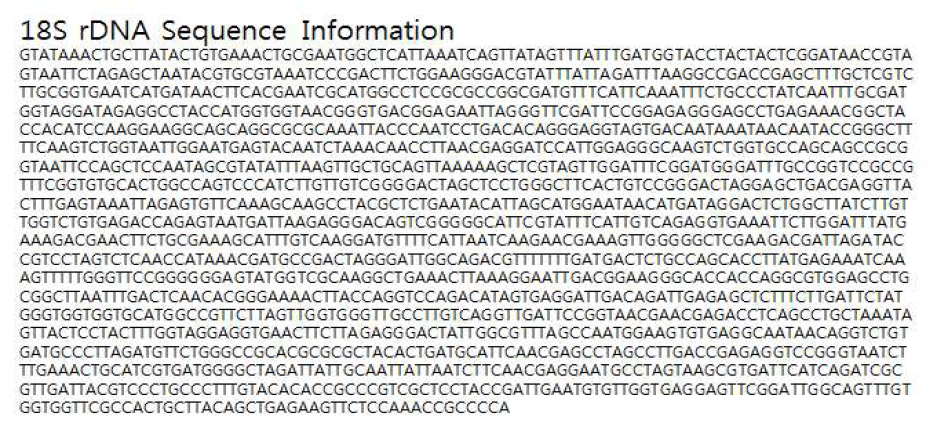 자체 분리 종 2종(St 9, 9-1)의 18s rDNA sequence information.