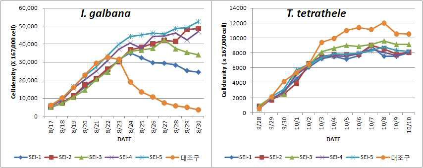 I. galbana 및 T. tetrathele를 대상으로 개발배지 종류별 일별 세포밀도 변화.