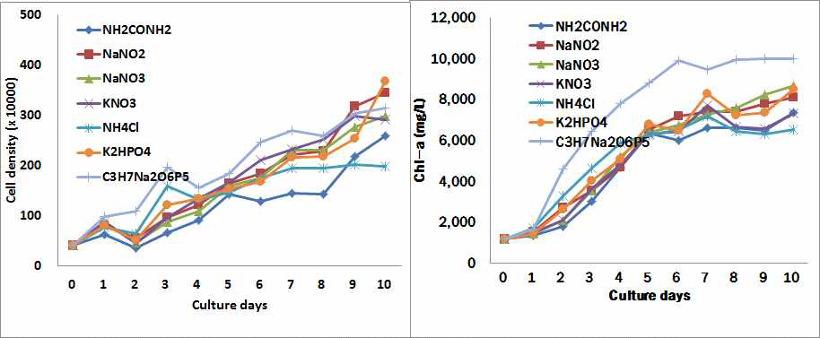 배지 중 질산염 및 인산염의 변화에 따른 T. tetrathele의 성장 및 Chl-a 농도변화.