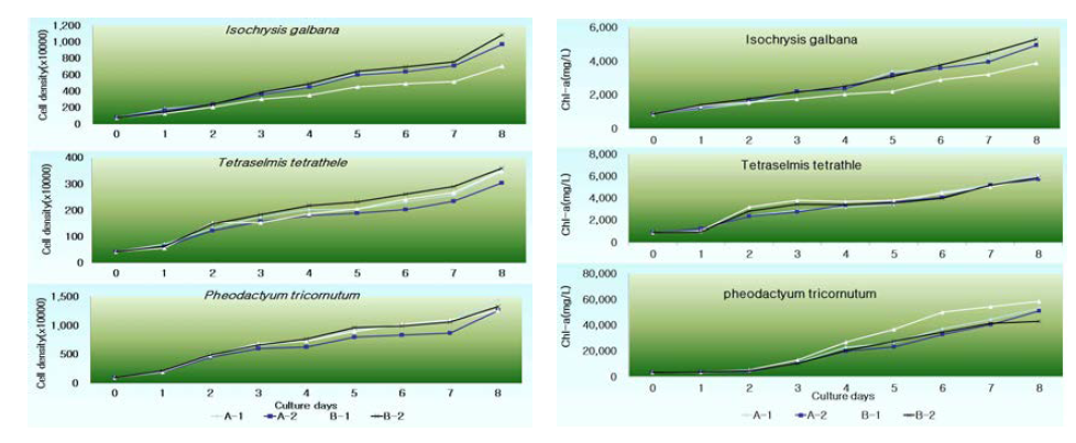 4종류의 개발배지에 따른 미세조류 3종의 성장 및 Chl-a함량 변화.